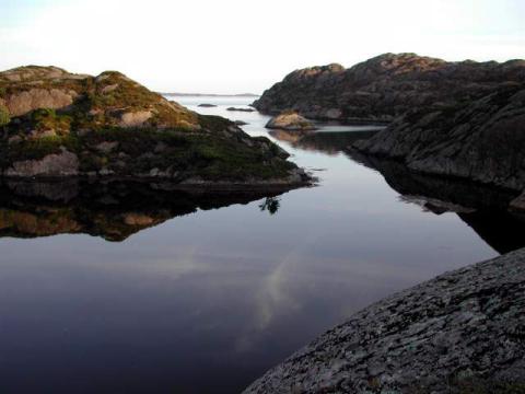 Det som Biologisk Stasjon kalla Hardbakkepollen, ligg rett nok på Hardbakke si utmark, men fleire kilometer frå det som i dag er kommunesenteret. Området finn me rett aust for Kråka og Verpingsvika, og vert gjerne kalla Vågane. Denne smale opninga og lune vika er vegen inn til pollen. I bakgrunnen ser me over Sognesjøen og mot dei ytste øyane i Gulen.