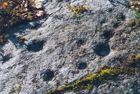 Kattefarsvåi ligg like ved stølsvegen og er merka med skilt. Ein del av feltet er dekka av torv. Gropene er gjerne 3-5 cm tvers over.
