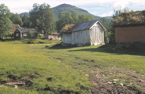 Husa ligg spreidde på kvia.