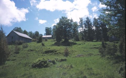 Holvikstølen med fjøs, sel og slåttemark.