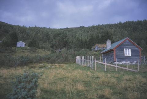 Selet til bruk 2, med fjøs i skogkanten.