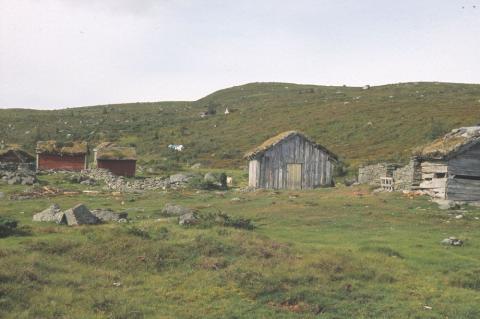 Fjøsar ved kviegarden.