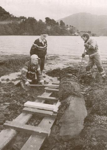 Ved hjelp av eit par kraftige staurar fekk dei lea den sterkt taregrodde steinen opp på ein slede dei hadde laga seg. Harald Bakke fekk god hjelp av Arve Sagosen og Vidar Flaten.