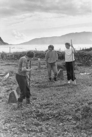 Slåttedugnad med ljå og rive på Grotle gamle kyrkjegard sommaren 1989.