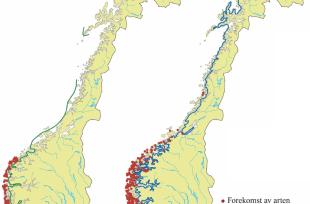 Eksempler på kystplanter som vokser i vintermilde område