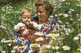 Ei fredeleg stund i prestekrageenga, Fitjar i 1950-åra. 