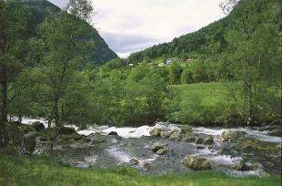 Bruset frå Stølsdalselvi. Breisete i bakgrunnen