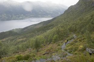 "Munkatreppene" på fjellstigen opp frå Lofthus.