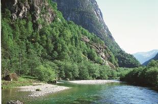 Frå Nærøydalen mot Jordalsnuten